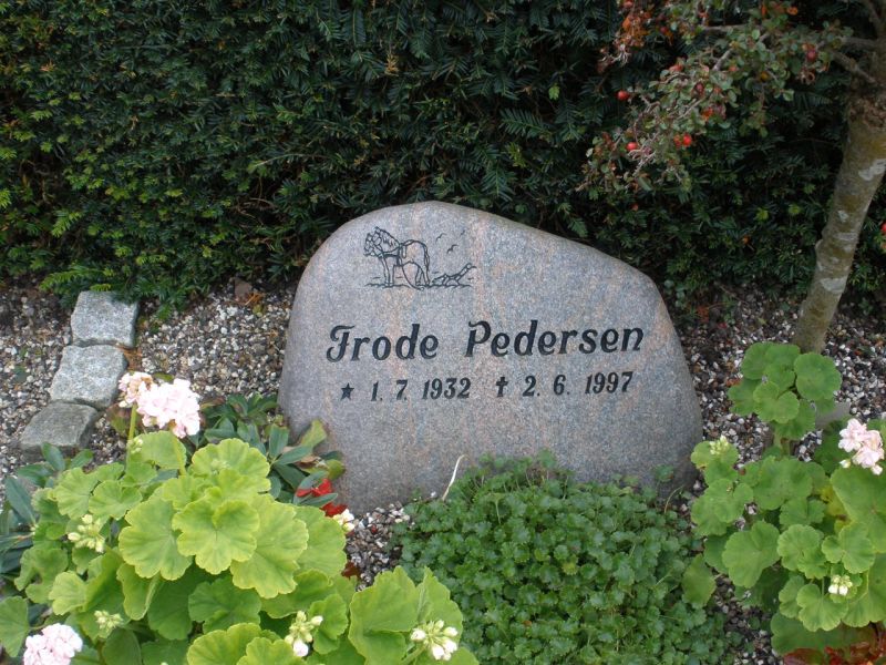 Frode Pedersen.JPG